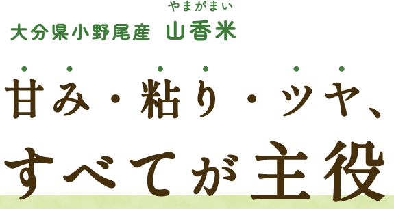 大分県産山香米｜甘み・粘り・ツヤ、すべてが主役